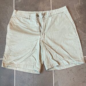 Patagonia Men's Light Green Flat Front Shorts